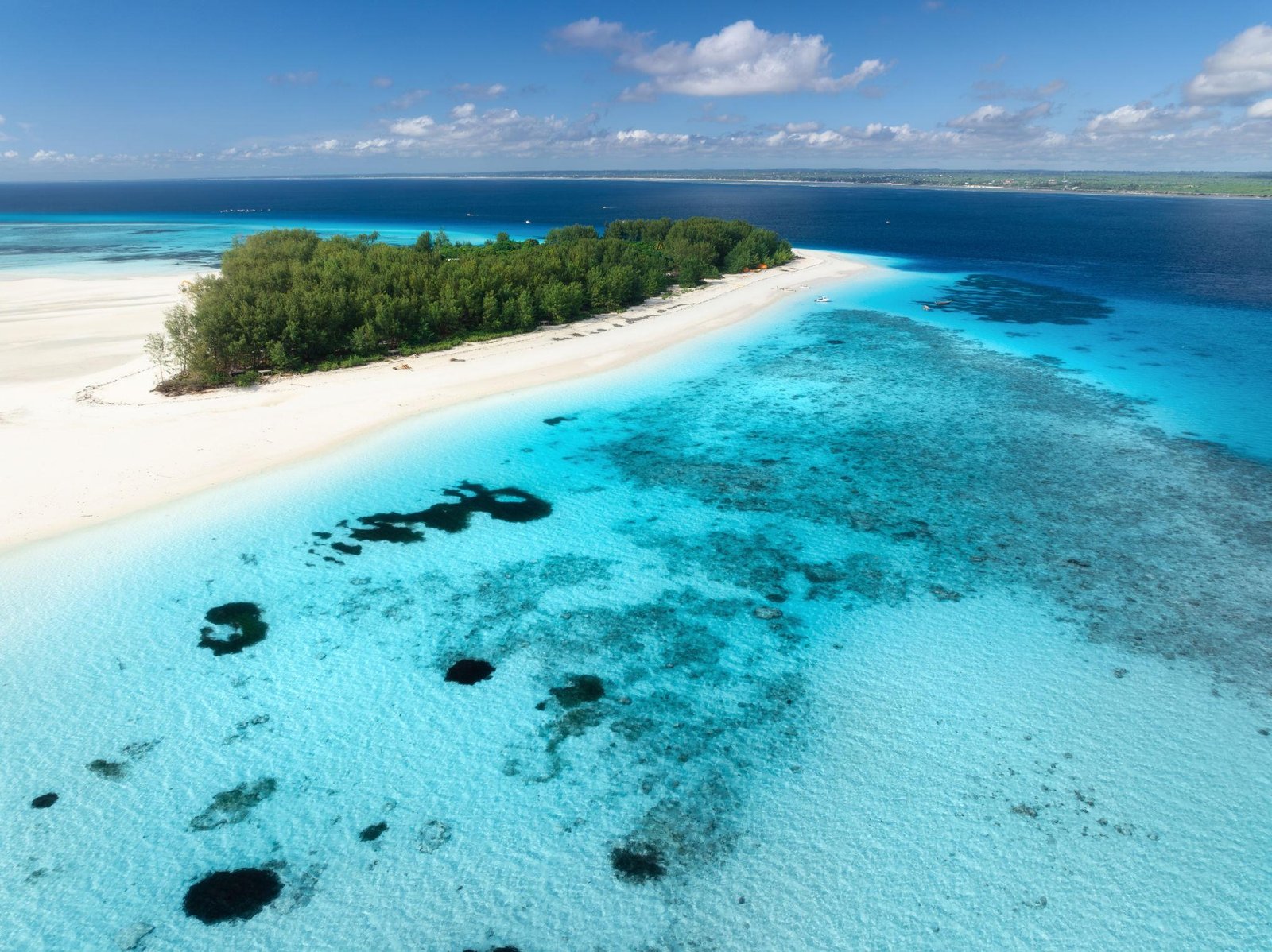 Mnemba Island Marine Reserve - Snorkeling Paradise