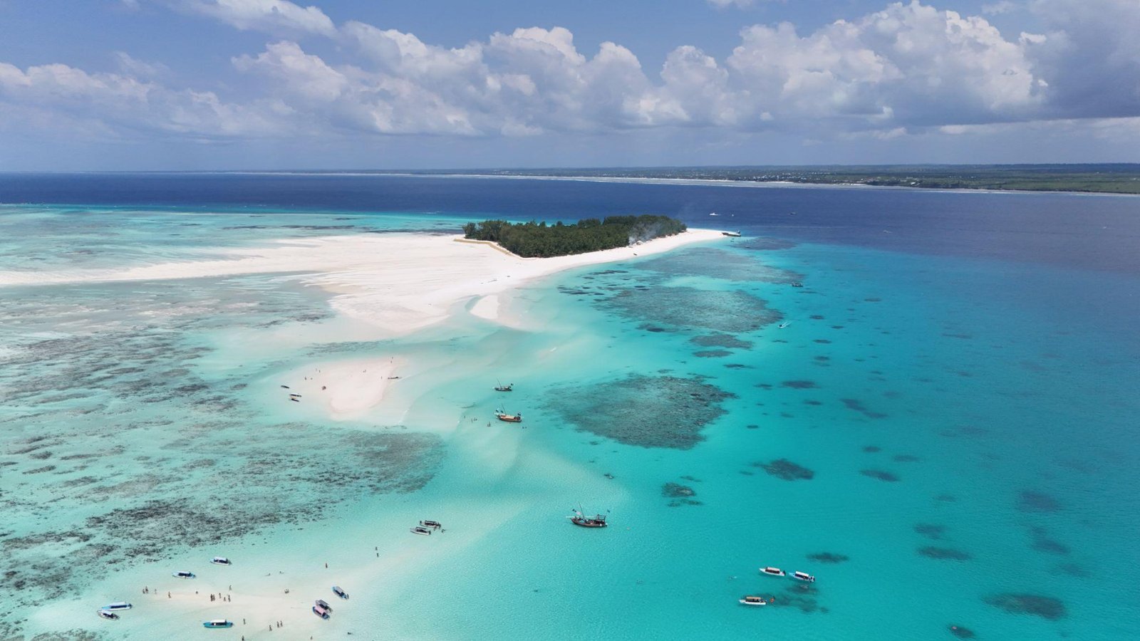 Mnemba Island Marine Reserve - Snorkeling Paradise gallery 2
