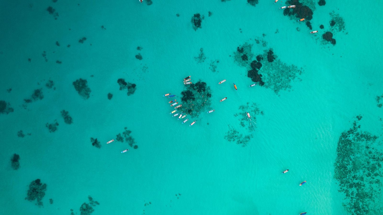 Mnemba Island Marine Reserve - Snorkeling Paradise gallery 3