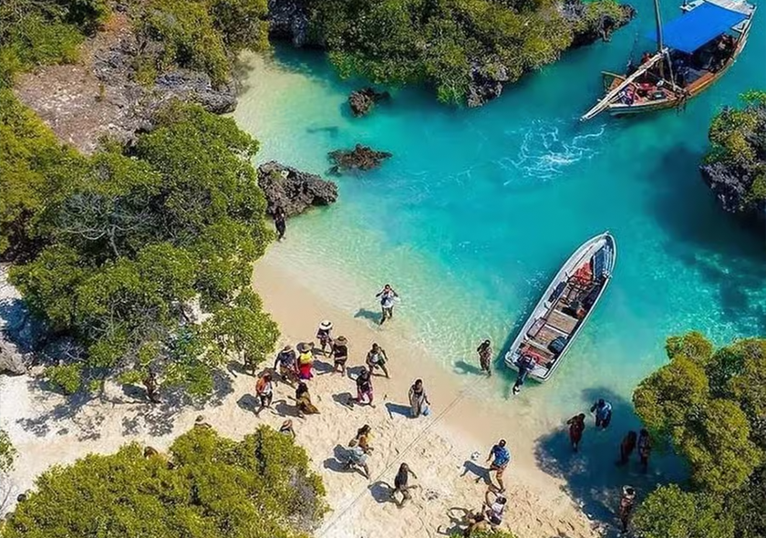 Safari Blue - Full Day Adventure