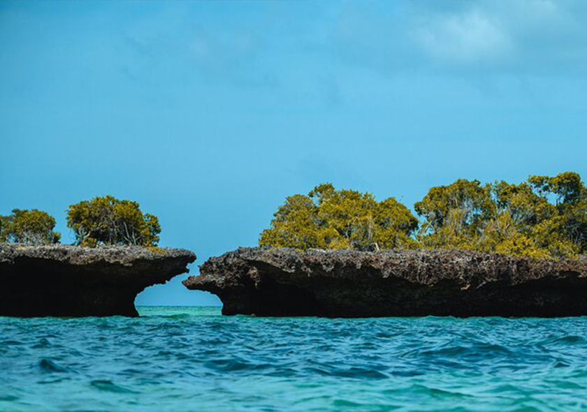 Safari Blue - Full Day Adventure gallery 1