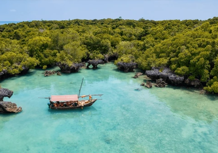 Safari Blue - Full Day Adventure gallery 2